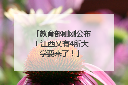 教育部刚刚公布！江西又有4所大学要来了！