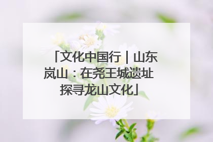 文化中国行｜山东岚山：在尧王城遗址探寻龙山文化