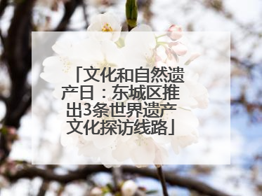 文化和自然遗产日：东城区推出3条世界遗产文化探访线路