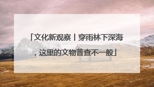 文化新观察丨穿雨林下深海，这里的文物普查不一般