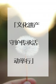 文化遗产守护传承活动举行