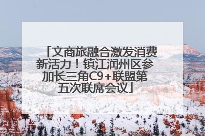 文商旅融合激发消费新活力！镇江润州区参加长三角C9+联盟第五次联席会议