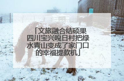 文旅融合结硕果 四川宝兴嘎日村把绿水青山变成了家门口的幸福提款机