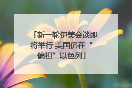 新一轮伊美会谈即将举行 美国仍在“偏袒”以色列