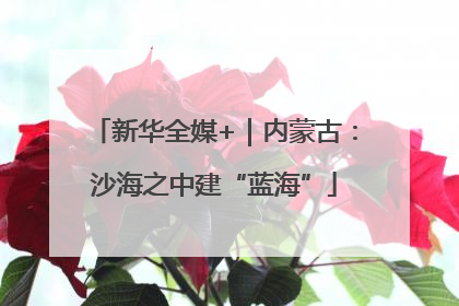 新华全媒+｜内蒙古：沙海之中建“蓝海”