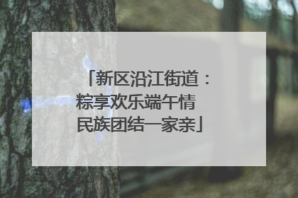 新区沿江街道：粽享欢乐端午情 民族团结一家亲
