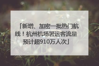 新增、加密一批热门航线！杭州机场暑运客流量预计超910万人次