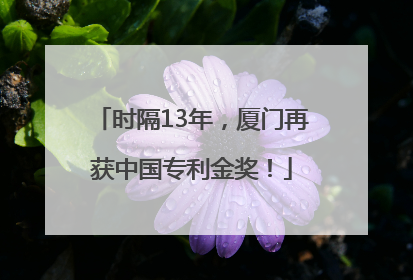 时隔13年，厦门再获中国专利金奖！