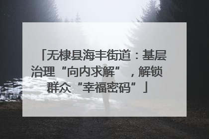 无棣县海丰街道：基层治理“向内求解”，解锁群众“幸福密码”