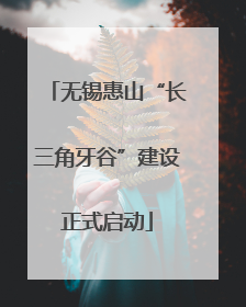 无锡惠山“长三角牙谷”建设正式启动