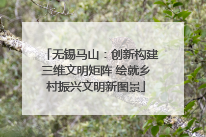 无锡马山：创新构建三维文明矩阵 绘就乡村振兴文明新图景