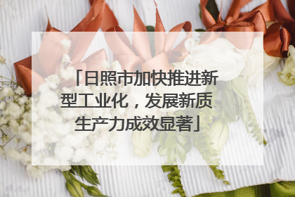 日照市加快推进新型工业化，发展新质生产力成效显著