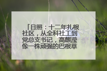 日照：十二年扎根社区，从全科社工到党总支书记，高麒滢像一株顽强的巴根草，把根深深扎进基层的土壤——“巴根草书记”的夏日叙事