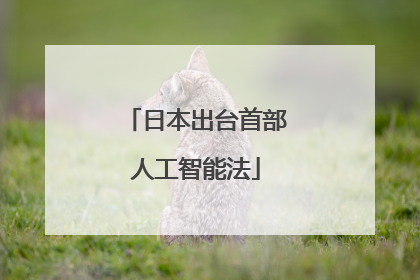 日本出台首部人工智能法
