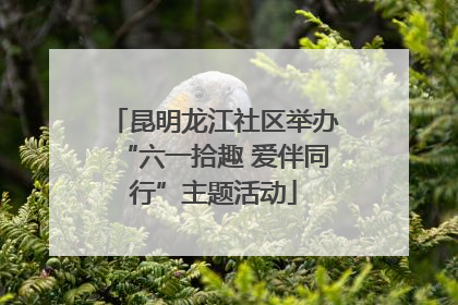 昆明龙江社区举办“六一拾趣 爱伴同行”主题活动
