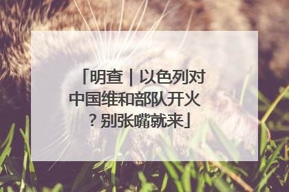 明查｜以色列对中国维和部队开火？别张嘴就来