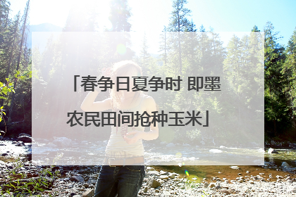 春争日夏争时 即墨农民田间抢种玉米