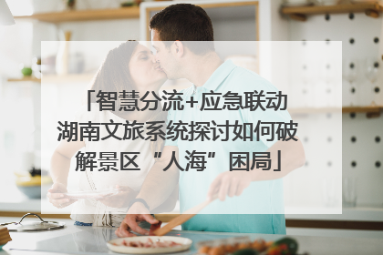 智慧分流+应急联动 湖南文旅系统探讨如何破解景区“人海”困局