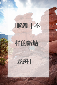 晚潮｜不一样的新塘龙舟