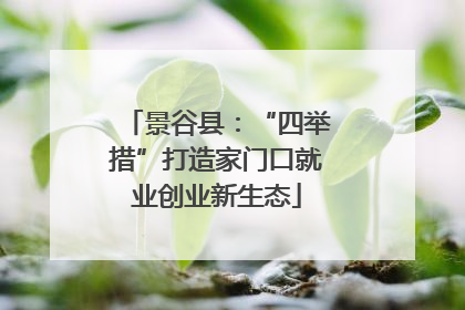 景谷县：“四举措”打造家门口就业创业新生态