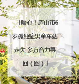 暖心！庐山市6岁孤独症男童车站走失 多方合力寻回（图）
