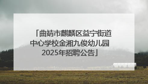 曲靖市麒麟区益宁街道中心学校金湘九俊幼儿园2025年招聘公告