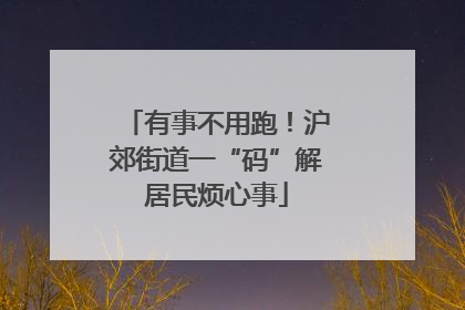 有事不用跑！沪郊街道一“码”解居民烦心事