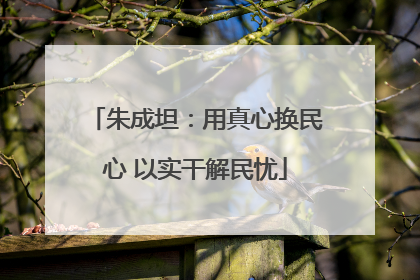 朱成坦：用真心换民心 以实干解民忧
