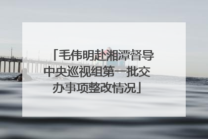 毛伟明赴湘潭督导中央巡视组第一批交办事项整改情况