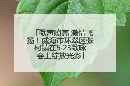 歌声嘹亮 激情飞扬！威海市环翠区张村镇在5·23歌咏会上绽放光彩