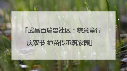 武昌百瑞景社区：粽意童行庆双节 护苗传承筑家园