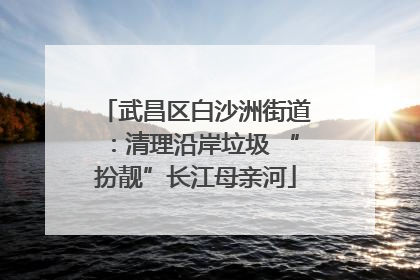 武昌区白沙洲街道：清理沿岸垃圾 “扮靓”长江母亲河