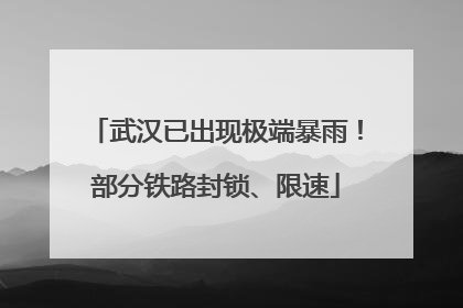 武汉已出现极端暴雨！部分铁路封锁、限速