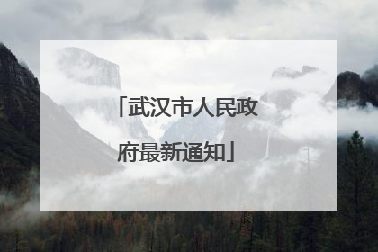 武汉市人民政府最新通知