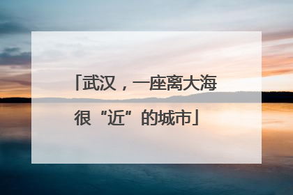 武汉，一座离大海很“近”的城市
