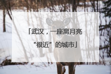 武汉，一座离月亮“很近”的城市