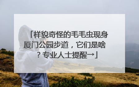 样貌奇怪的毛毛虫现身厦门公园步道，它们是啥？专业人士提醒→