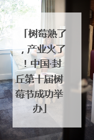 树莓熟了，产业火了！中国·封丘第十届树莓节成功举办