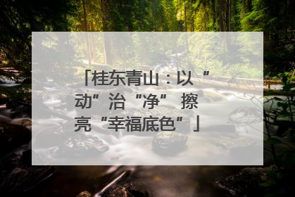 桂东青山：以“动”治“净” 擦亮“幸福底色”