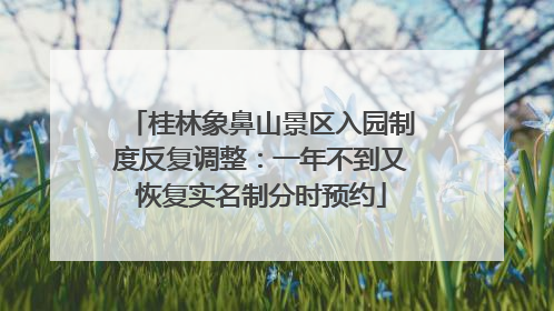 桂林象鼻山景区入园制度反复调整：一年不到又恢复实名制分时预约