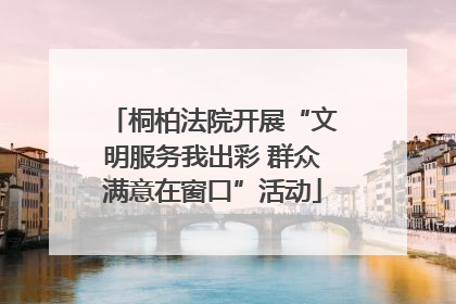 桐柏法院开展“文明服务我出彩 群众满意在窗口”活动