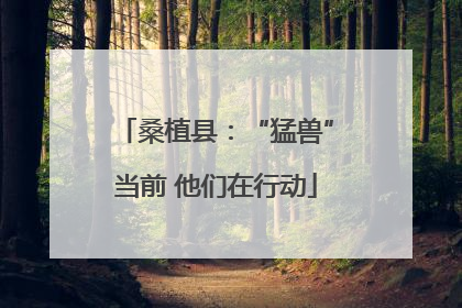 桑植县：“猛兽”当前 他们在行动
