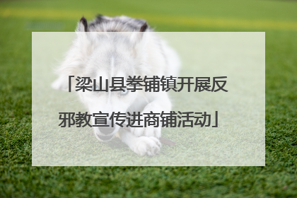 梁山县拳铺镇开展反邪教宣传进商铺活动