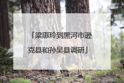梁惠玲到黑河市逊克县和孙吴县调研