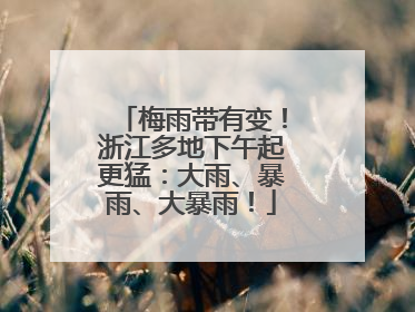 梅雨带有变！浙江多地下午起更猛：大雨、暴雨、大暴雨！