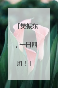 樊振东，一日四胜！