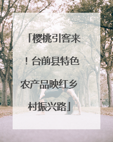 樱桃引客来！台前县特色农产品映红乡村振兴路