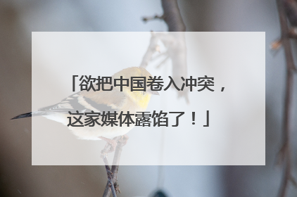 欲把中国卷入冲突，这家媒体露馅了！