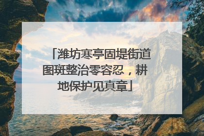 潍坊寒亭固堤街道图斑整治零容忍，耕地保护见真章