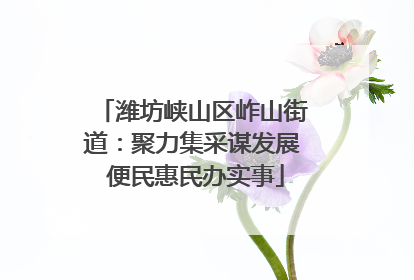 潍坊峡山区岞山街道：聚力集采谋发展 便民惠民办实事